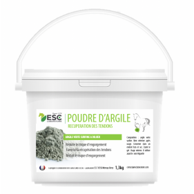 Argile verte en poudre