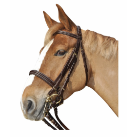 Bride Dressage CHETAK