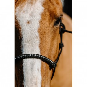 Licol Ethologique Nylon Diams