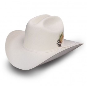 Chapeau Western Arizona
