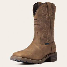 Bottes Western Homme Hybrid...