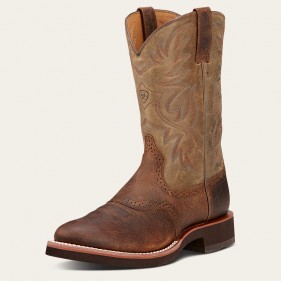 Bottes Western Homme...