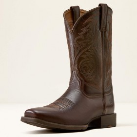 Bottes Western Homme...