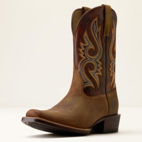 Bottes Western Homme...