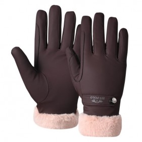 Gants Hiver Garnet HV POLO