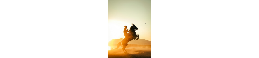 Equipement Western