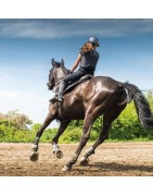 Cheval